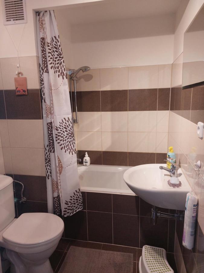 Apartman V Podhuri Krusnych Hor Sokolov Exterior photo